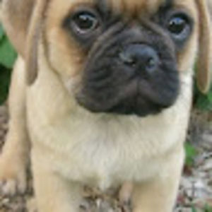 Meet your Posher, Martin